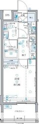 クレヴィスタ板橋西台IIIの物件間取画像